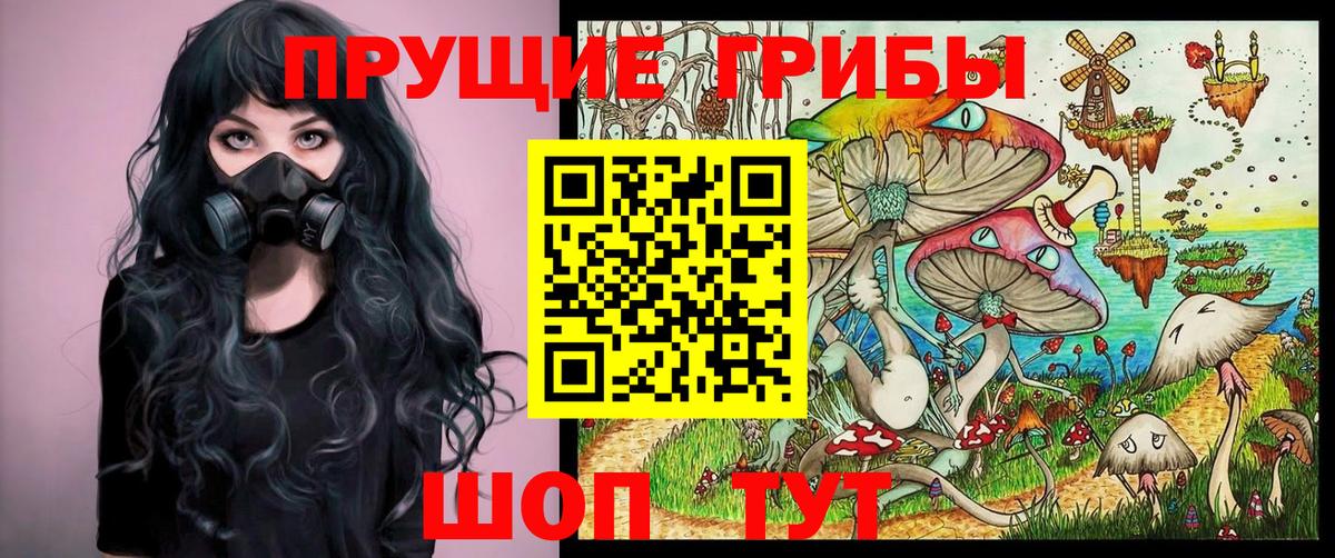 Псилоцибиновые грибы мицелий Ликино-Дулёво